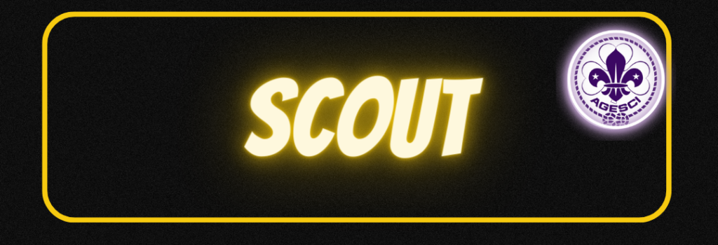 scout vercelli title